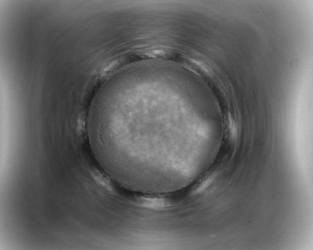 X0000086940284200704301143