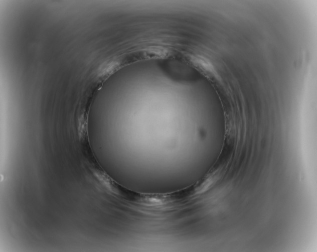 X0000086940285200704301143