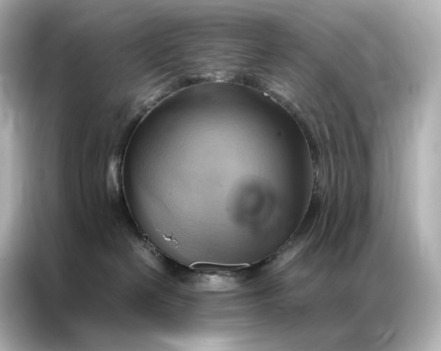 X0000086940286200704301143