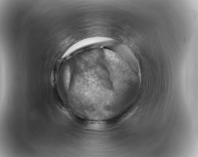 X0000086940288200704301143