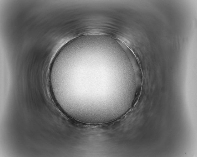 X0000086940289200704301143