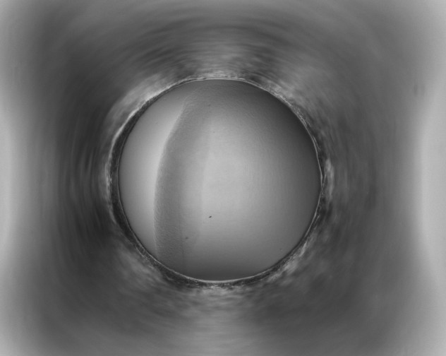 X0000086940290200704301143