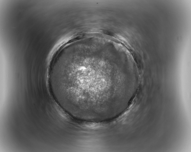 X0000086940293200704301142