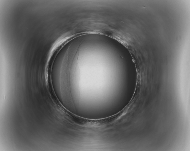 X0000086940294200704301142