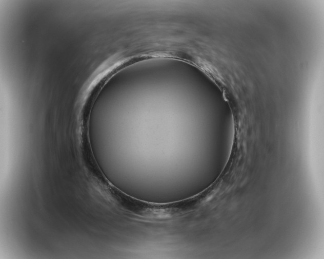 X0000086940295200704301142