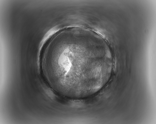 X0000086940296200704301142