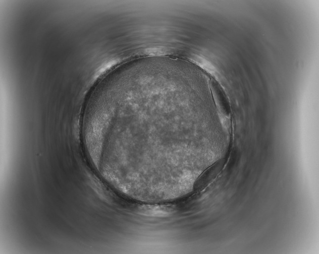 X0000086940297200704301142