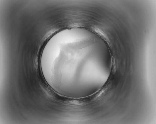 X0000086940298200704301142