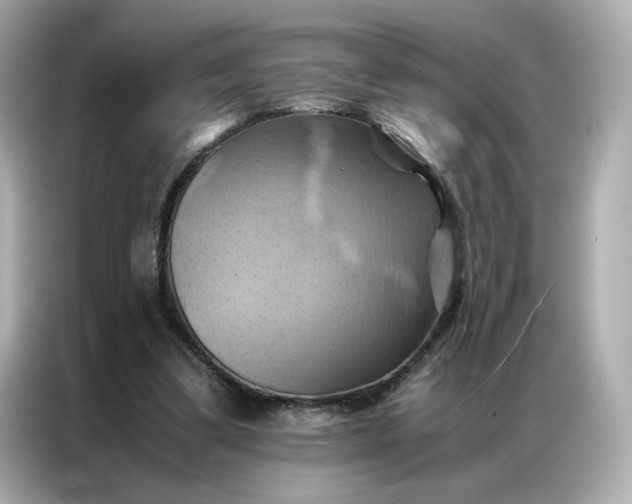 X0000086940299200704301142