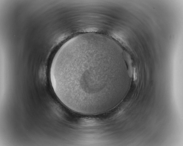 X0000086940300200704301142