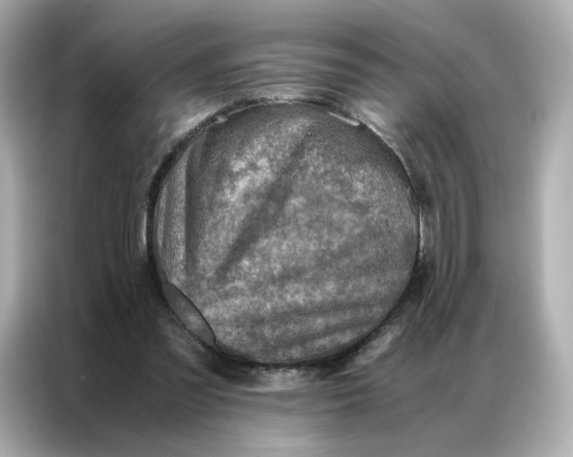 X0000086940301200704301142