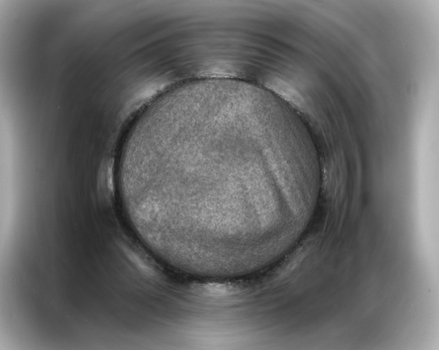 X0000086940302200704301142