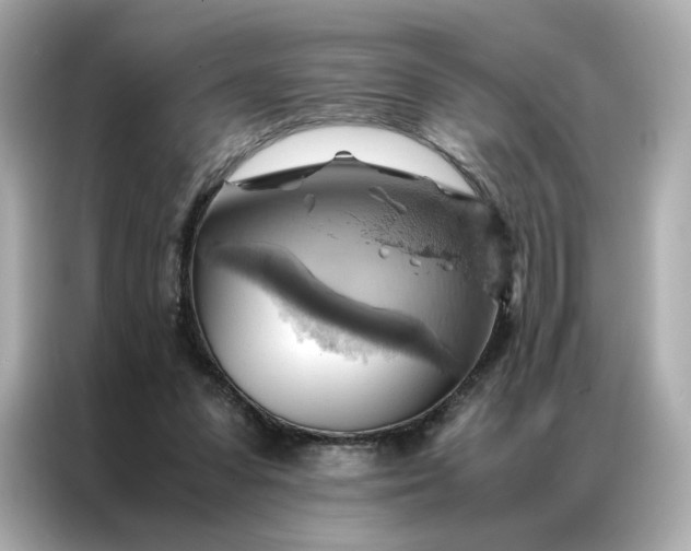 X0000086940303200704301142