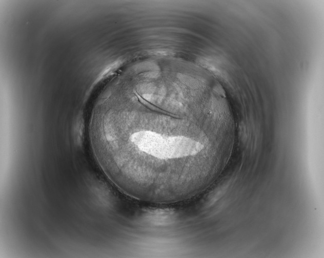 X0000086940304200704301142