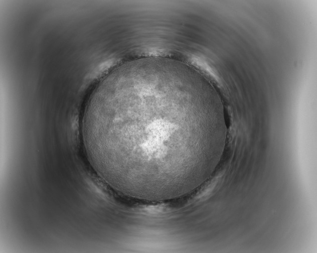 X0000086940306200704301142