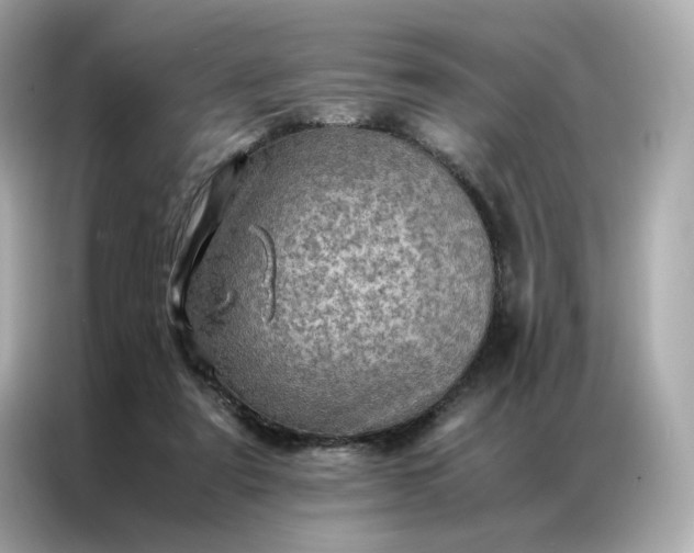 X0000086940307200704301142