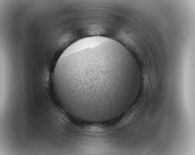 X0000086940308200704301142