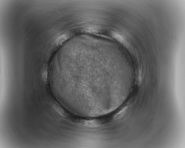 X0000086940309200704301142