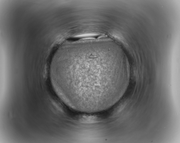 X0000086940311200704301142