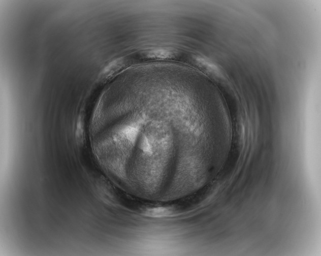 X0000086940312200704301142