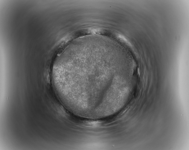 X0000086940313200704301142