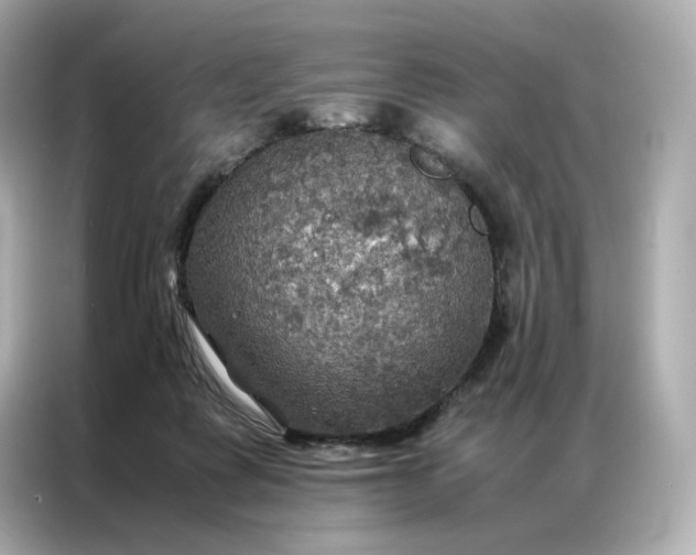 X0000086940315200704301142