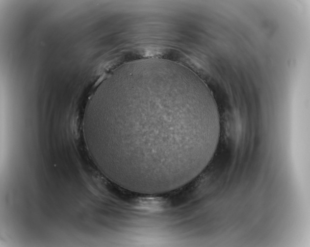 X0000086940316200704301142