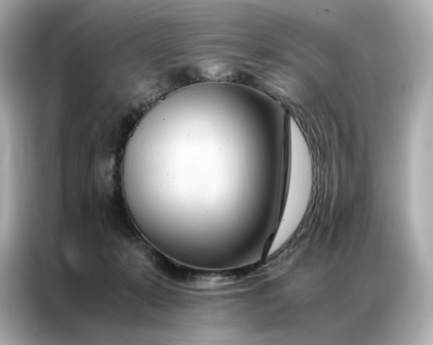 X0000086940319200704301142