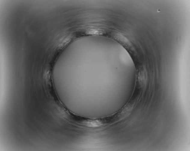 X0000086940322200704301142