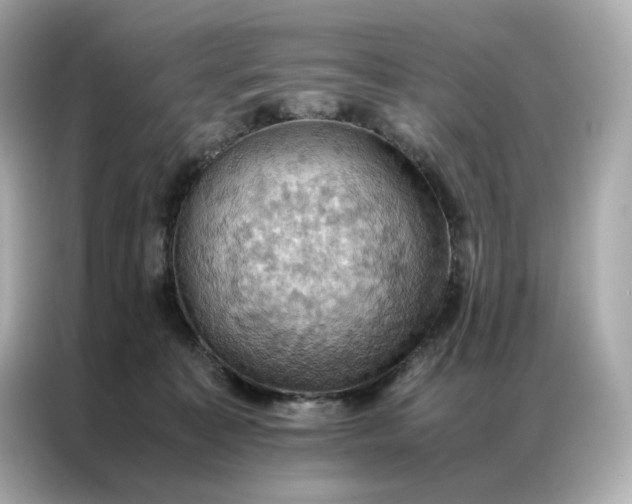 X0000086940323200704301142