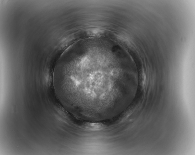 X0000086940324200704301142