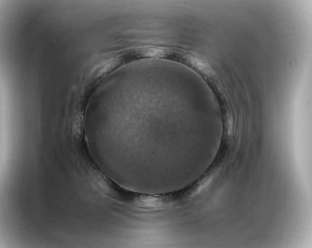 X0000086940325200704301142