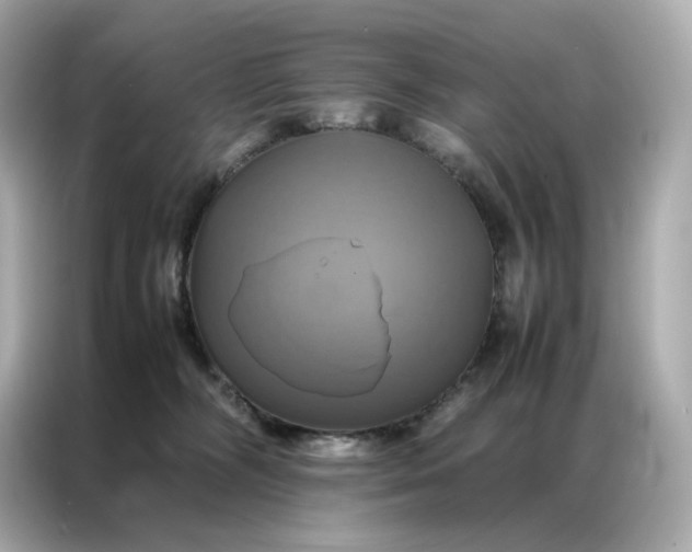 X0000086940326200704301142