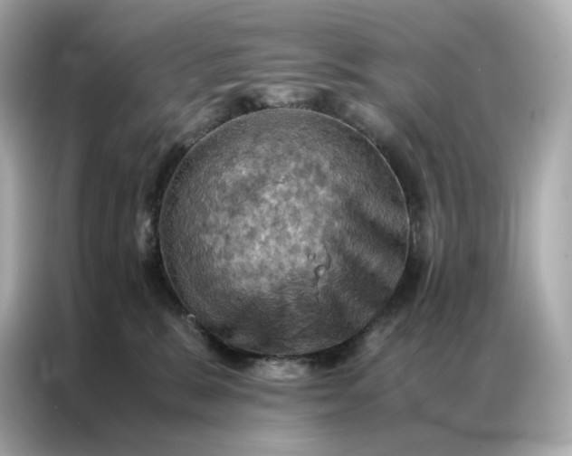 X0000086940327200704301142