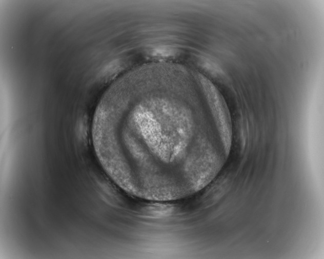 X0000086940328200704301142