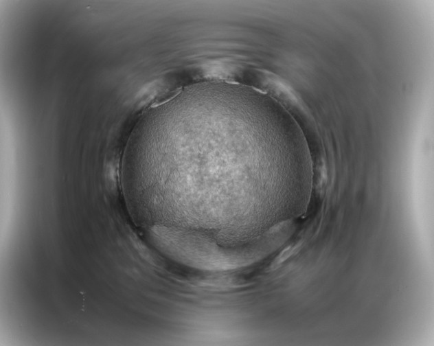 X0000086940329200704301142