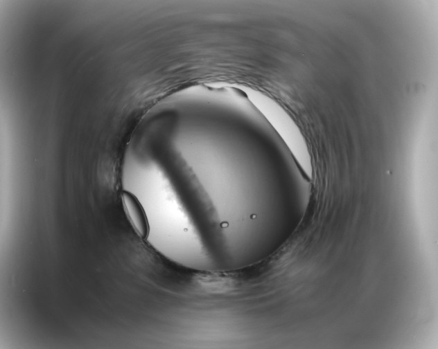 X0000086940331200704301142