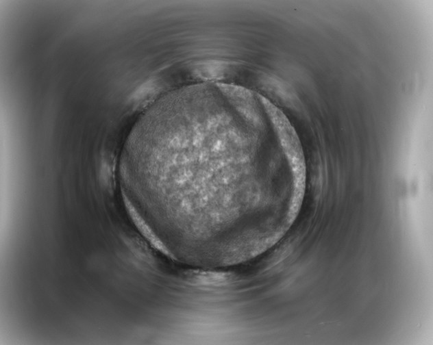 X0000086940332200704301142