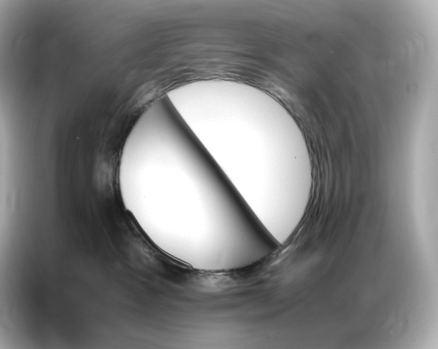 X0000086940333200704301142