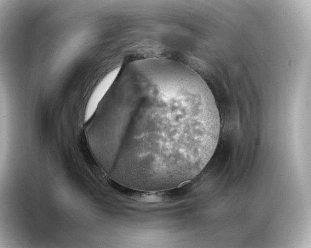 X0000086940335200704301142