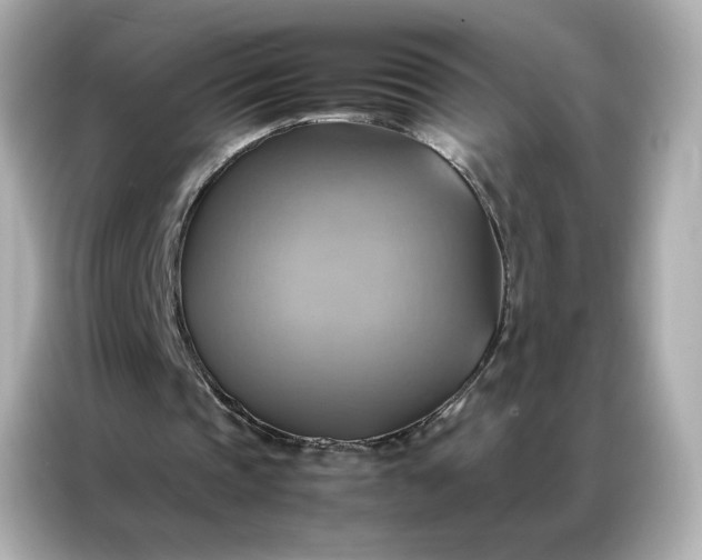 X0000086940337200704301141