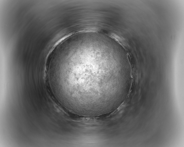 X0000086940338200704301141