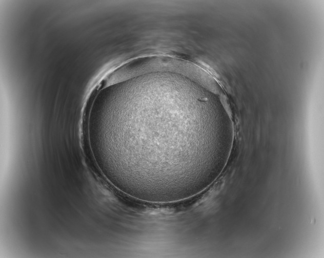 X0000086940340200704301141