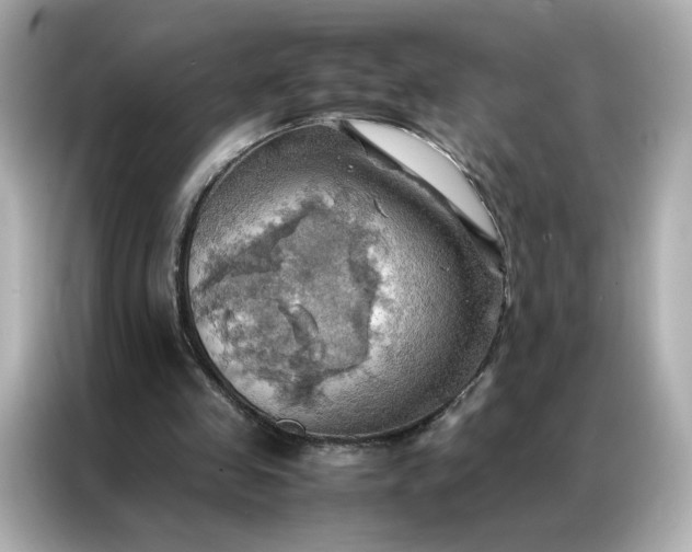 X0000086940341200704301141