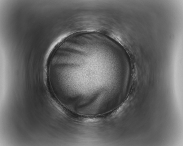 X0000086940342200704301141