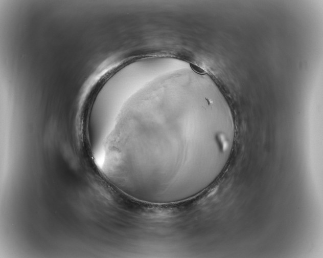 X0000086940343200704301141