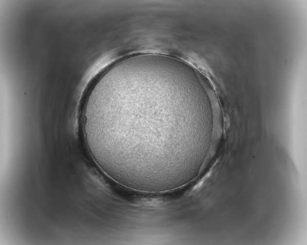 X0000086940344200704301141