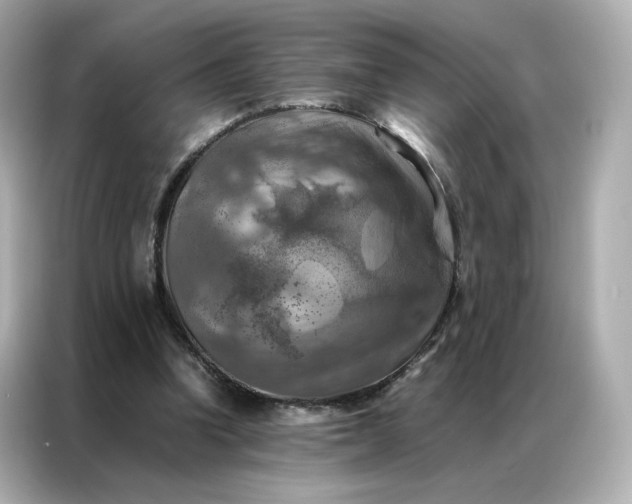 X0000086940346200704301141