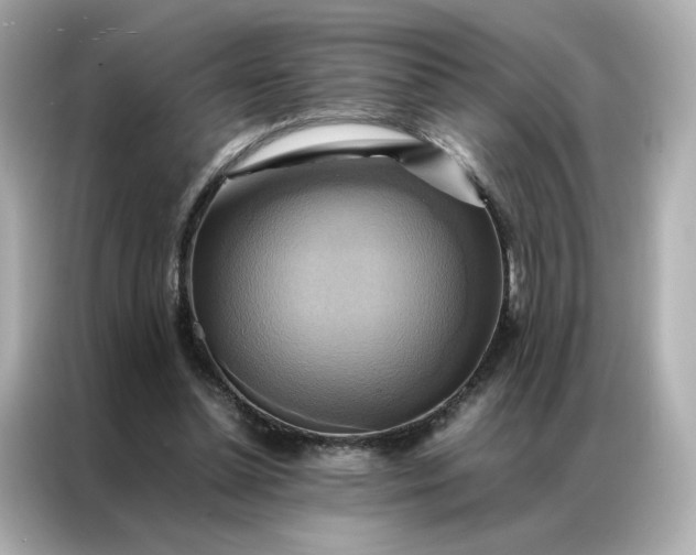 X0000086940348200704301141