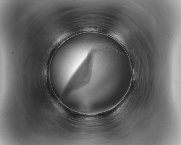 X0000086940349200704301141